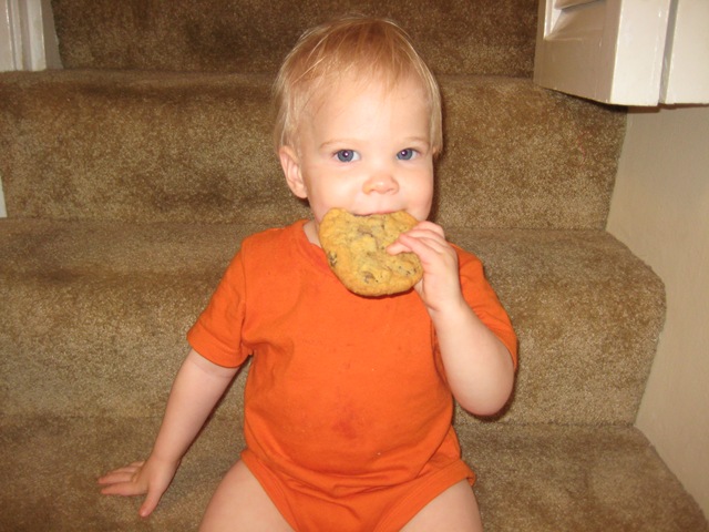 [DavidPhotos0073.jpg]