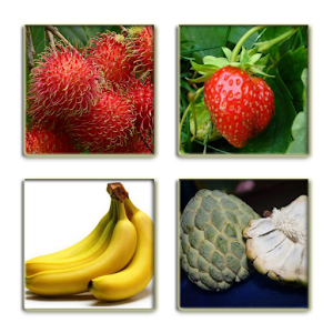 Tebak Nama Buah.apk 3.0