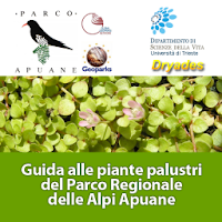 Piante Palustri Parco Apuane APK התמונה על עטיפת הסרט