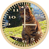 Cat 6 Tabby Analog Clock