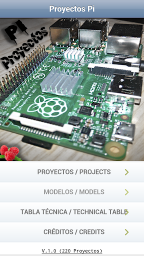 Projects Pi