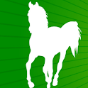 Horse Racing Handicapping