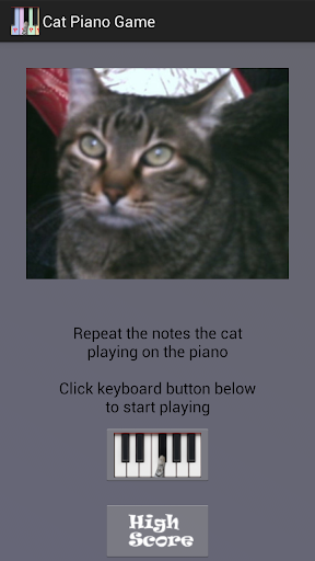 Cat Piano Memory Game