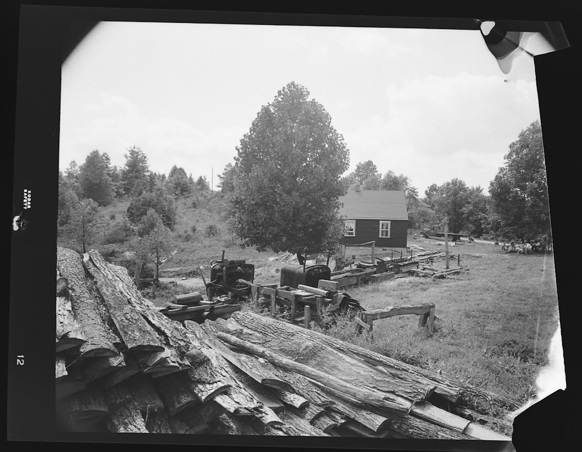 Shoals — Google Arts & Culture