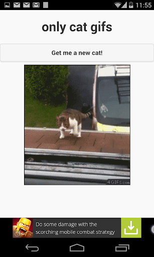 only cat gifs