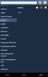 English Standard Arabic Dict poster 13