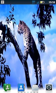 Free Color Leopard LWP No5 Pro APK for Android