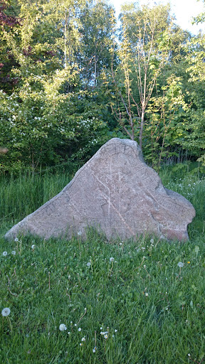 Viking Runes Stone