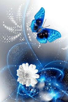 Blue Butterfly Live Wallpaper