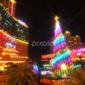 Thousand Stars by Chandra Irahadi - Public Holidays Christmas