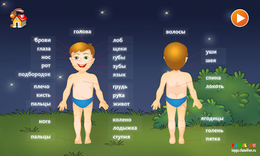 Free Download 1А: Мое тело (для детей) APK for Android