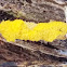 Yellow-fuzz Cone Slime