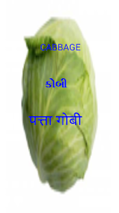 How to download Vegetables Gujarati-Eng-Hindi unlimited apk for pc