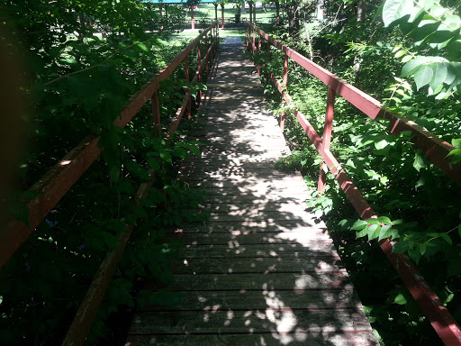 Veterans Park walk bridge
