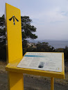Rosny Hill Lookout