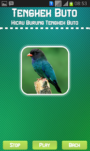 Free Oriental Dollarbird APK for PC