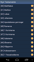 Danish Holy Bible poster 4