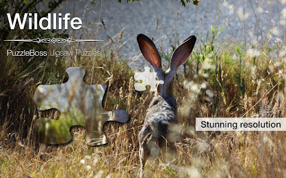 Wildlife Jigsaw Puzzles Demo poster 9