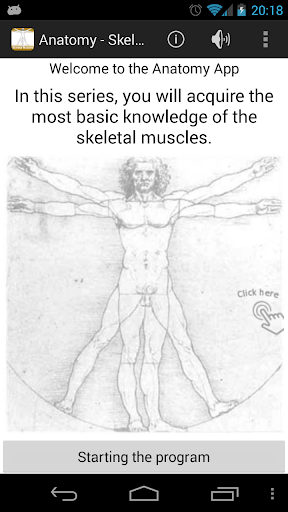 Anatomy - Skeletal Muscles