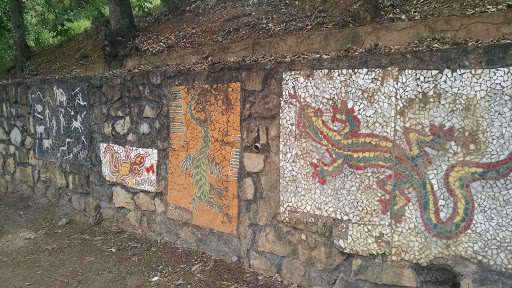 Mosaicos dos Calangos