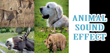 animal sound effects APK