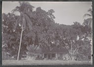 Woonhuis met veranda onder bomen, vermoedelijk op het terrein van een ziekenhuis in Nederlands-Indië