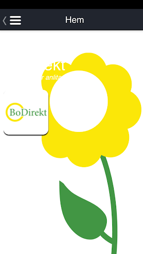 BoDirekt