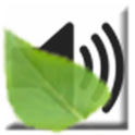 Ambient Soothing Sounds: Beach
