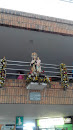 Virgen Del Carmen Terminal Pitalito