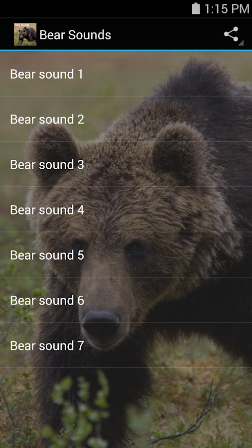 Bear Sounds Android Apps on Google Play