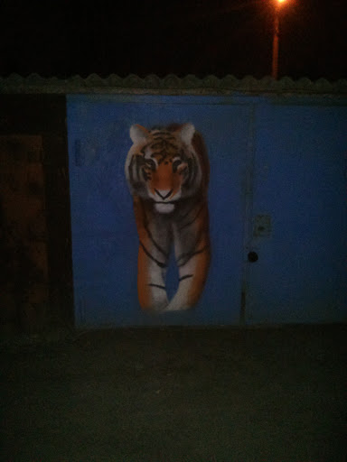 Тигр На Гараже