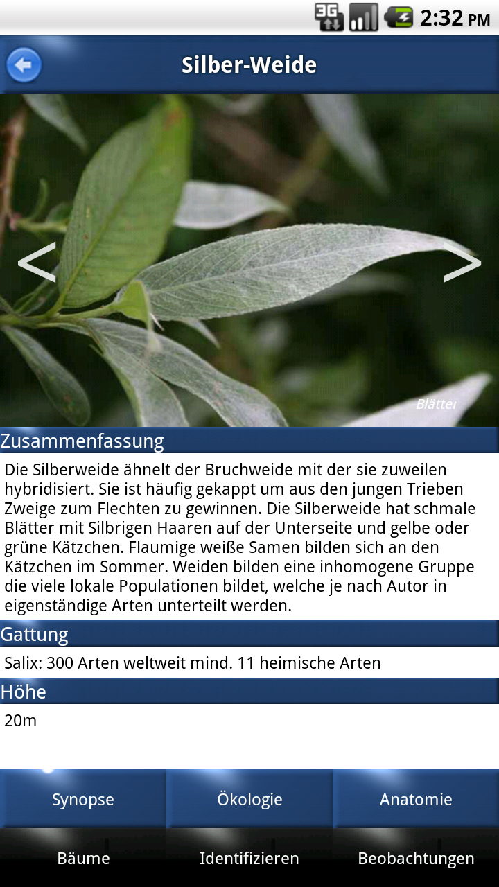 Baum Id Schweiz - Bäume Screen 2