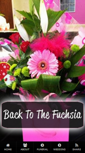 Back to the Fuchsia Florists