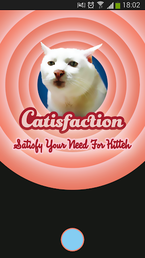 Catisfaction