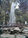 Fuente Del Puente