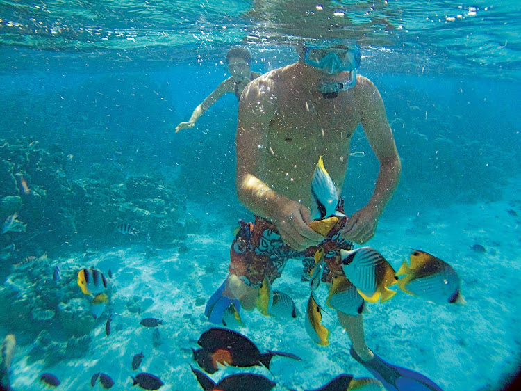 On the Paul Gauguin, it's always a great day when it's spent snorkeling and coming nose to nose with parrotfish, clownfish, giant clams and sea turtles.