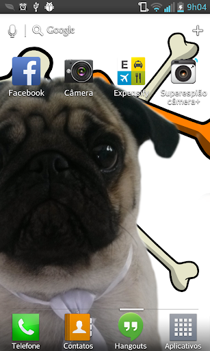 PUGallax - Live wallpaper