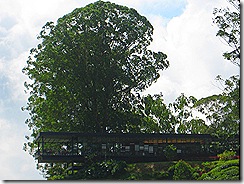 IMG_1022