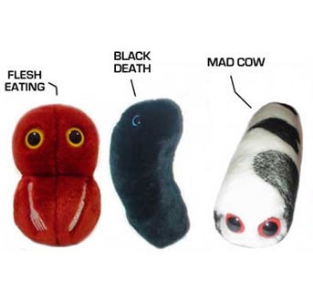 stuffed e coli