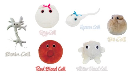 microbe soft toys