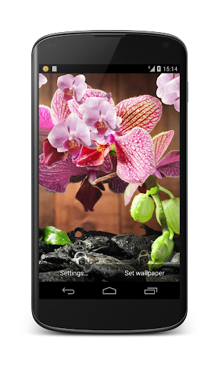 Pink Orchid Live Wallpaper