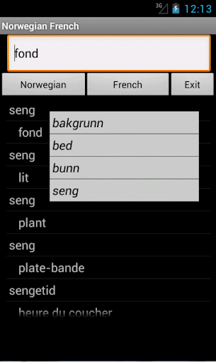 Norwegian French Dictionary