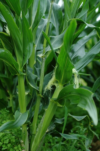 [2008.6.21.004[2].jpg]