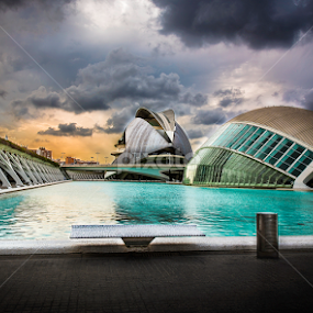 city ​​of arts and sciences by Aitor Photograph - Buildings & Architecture Architectural Detail