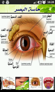 How to get الموسوعة التعليمية للاطفال lastet apk for pc