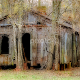 Abandoned by Mike Dougharty -  
