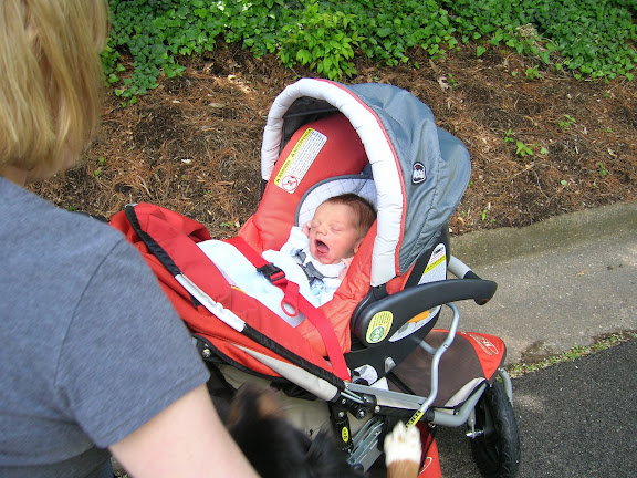 chicco adapter for bob stroller