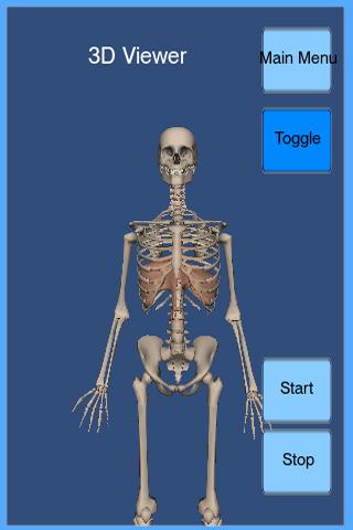 3D Respiration Screen 2