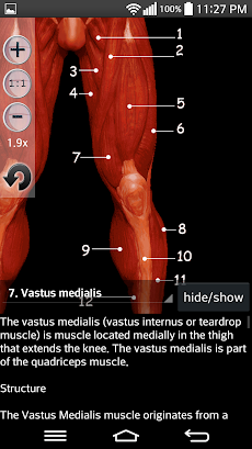 Anatomy Musclesのおすすめ画像4