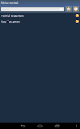 Romanian Holy Bible poster 11